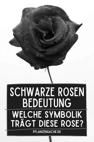 Bedeutung der schwarzen Rose .